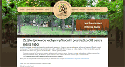 Desktop Screenshot of pintovka.cz